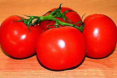 "Деликатес" на масата: карактеристики и опис на сорта на средно рано домат