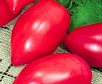 گلابی فومومو ٹماٹر مختلف قسم کے فوائد اور نقصانات: تفصیل، تصویر، خصوصیات اور بڑھتی ہوئی خصوصیات