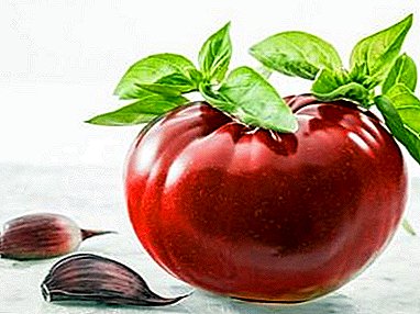 Ụdị tomato ọzọ dị iche iche - "ọrụ chocolate", nkọwa nke letus tomato