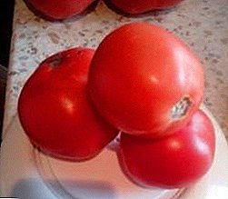 Pomidorların başqa bir gözəl istixana növü "Sibir Apple": onun xüsusiyyətləri və təsviri