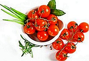 Pomifer parva summus cedens tomatoes "Carmel rubri» F1: descriptionis varietatem commoda