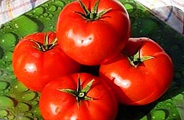 Nekomparebla "Tombo-Andromo" F1: karakterizaĵoj kaj priskribo de la tomata variaĵo, fotoj, kreskantaj ecoj