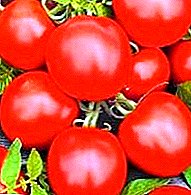 Deskripsyon nan varyete tomat "Argonot F1" ak karakteristik sa yo jwenn nan men l 'tomat