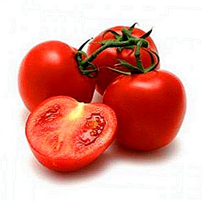 Hasiberrientzako eta nekazarientzako barietate bikaina - Dink F1 tomatea: barietatea eta deskribapena, argazkia
