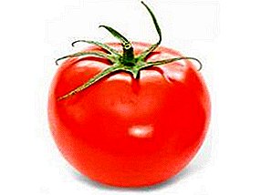 Ukusna višenamjenska sorta - paradajz Elena F1