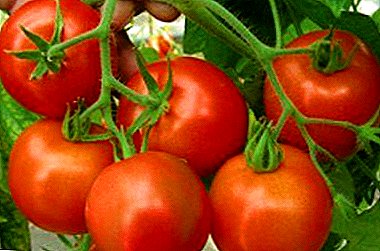 Wéi eng frësch reife Tomato "Hurricane F1" wuessen: d'Beschreiwung, Foto an d'Charakteristik vun der Varietéit