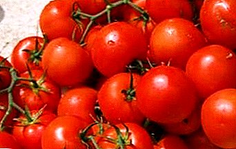 Нов хибрид на првата генерација - опис на разновидноста на домати "Verlioka Plus" f1