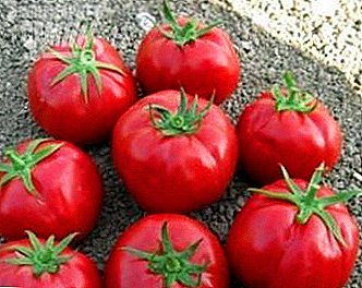 Surprize eĉ-grandaj tomatoj de Rosaliz F1: variaj priskribo, kultivaj rekomendoj