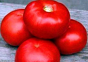 Tomate-barietateen ezaugarriak eta deskribapena "La La Fa" F1: hazten eta jan egiten dugu plazerarekin