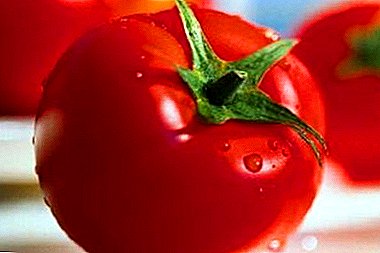 Hybrid vun der Tomato "Aurora F1" - fréi Rezeptioun an héich Ausbezuele