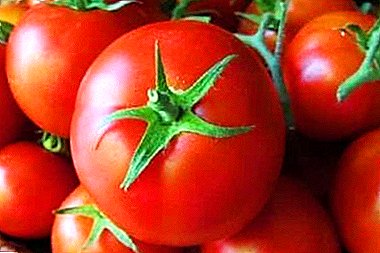 Səmərəli pomidor "Sultan F1": müxtəliflik xüsusiyyətləri və təsviri, pomidor şəkli