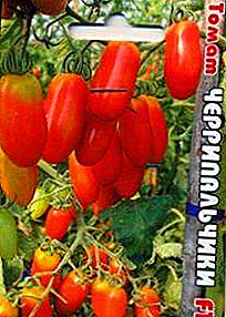 Miniatur an Séiss Varietéit vun Tomato "Cherripalchiki": Beschreiwung a Funktioune vum F1 Hybrid