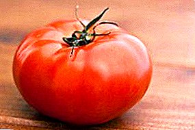 Mugurdi gogokoena - Novikova Giant Tomato: barietateen deskribapena, argazkia