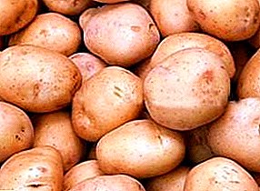 Timo's Finnish potatoes: le lelei, faʻapitoa, maualuga-gauaʻi