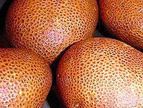 "Kiwi" patata genetikoki eraldatutako barietatea: ezaugarriak, barietatearen deskribapena, argazkia