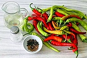 Բիժուտ կարմիր չիլի: Ինչպես պահել տաք peppers ձմռանը սառնարան եւ pods.