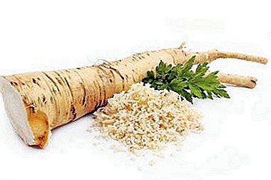 Horseradish: abun da ke ciki, amfanin da cutar ga lafiyar mutum