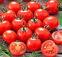 Və dadlı və gözəl - müxtəlif pomidor Garden İnc