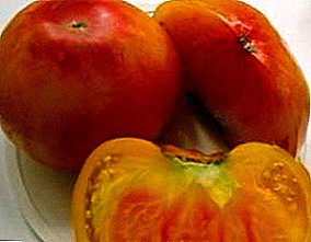 Улаан лоолины жимсний сортуудын сонирхолтой өнгө, хэмжээ нь "Грэйпфрут" бүхнийг ялж байна