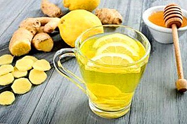 Ngagunakeun Jahé, Lemon, Madu, sareng Bawang Putih pikeun Dihersihan Béjana: Sababaraha Resep Baguna