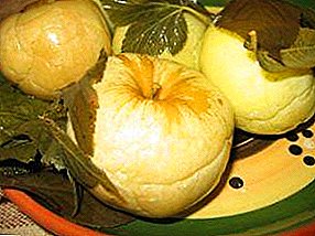 Како да киснеме јаболка во лименки за зимата и што можеш да готвиш со нив?