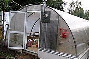 Како да се загрее стаклена градина во зима: системи за греење и грејачи, проекти, фотографии. Шпорет на печката со свои раце