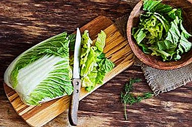 Kumaha masak salads kol cahya dietary? Resep, kalori, ngaladénan poto