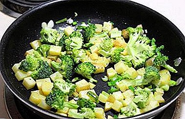 Joang ho pheha broccoli hop ka potlako le monate? Li-recipes joang ho fry meroho ka pane, mohobe le litsela tse ling