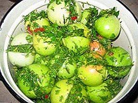 Como cociñar tomates verdes en conserva con allo e herbas nun pote ou nun balde? Mellores receitas
