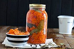 मसालेदार गाजर कसे शिजवायचे आणि ते कसे उपयुक्त आहे?