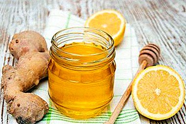 Како да се земе ѓумбир со лимон и мед и како оваа мешавина е корисна? Најдобра домашна рецепти за здравје
