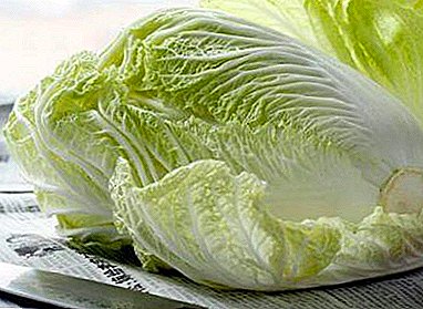 Kumaha diversify hiji salad tina kol Cina jeung cucumbers pickled? Léngkah-to-hambalan resep