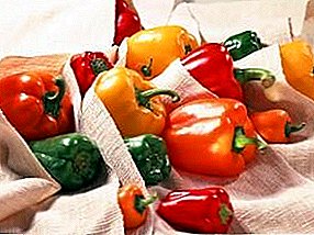 Kako čuvati svježu bugarsku papriku za zimu u hladnjaku i podrumu?