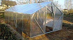 Quam ut renovare polycarbonate greenhouses suarum? Paulatimque discessum dux