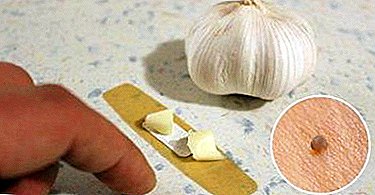 Esi ewepu garlic? Ụzọ dị iche iche na contraindications