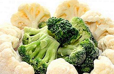 Hoe lekker is 'n geregie gevriesde blomkool en broccoli? Kook resepte