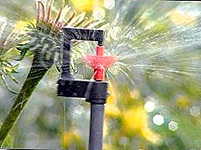 Rego por goteo para o invernadoiro: sistemas de irrigación automática, esquemas de rego, equipos e dispositivos