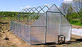 Okpokoro nke profaịlụ ngwongwo maka polycarbonate greenhouses na aka gị: nzọụkwụ-site-nzọụkwụ ntụziaka, eserese na nuances