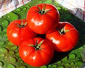 Dun ati ekan, tete awọn orisirisi tomati "Russian dun": awọn anfani ati alailanfani ti awọn tomati