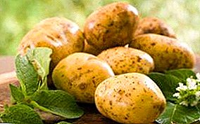 Intsik superearly himala - patatas "Kiranda": paglalarawan ng iba't-ibang at mga larawan