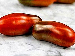 Kageulisan sareng rasa anu disampurnakeun: rupa-rupa tomat Tikel Konéng, Oranyeu sareng Hideung