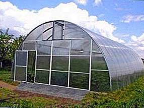 Greenhouses in hiems per annos negotium, in profitability de CONSERVATORIUM