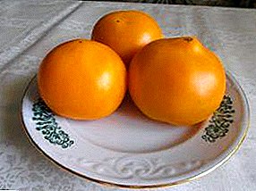 Macrocarpa жана даамдуу помидор "Гигант Orange": сорт, өстүрүү, жемиш, помидор сүрөттө сүрөттөлүшү