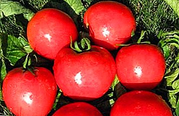 Large-помидор "көзгө көрүнбөгөн көрүнүп:" ар түрдүү сүрөттөлүшү, анын өзгөчөлүктөрү жана сүрөттөр