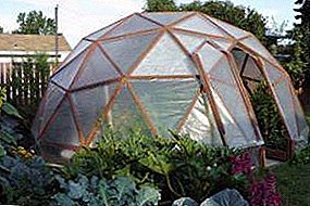 Ang Do-it-yourself na dome greenhouse ay ang tamang solusyon para sa mga mahilig sa mga orihinal na ideya