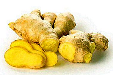 კიბოს მკურნალობა Ginger root: როგორ გავლენას ახდენს დაავადება, ისევე როგორც რეცეპტები ერთად turmeric, დარიჩინი და სხვა ინგრედიენტები