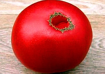 Fabulosus gradu "Yusupov" tomatoes parata sunt nota sem Uzbecorum