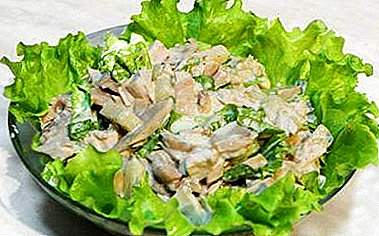 Resèt yo pi byen pou kwit manje sòs salad "tandrès" ak chou Chinwa