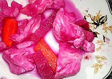 Repolo marinado georgiano con remolacha: Recomendacións e receitas