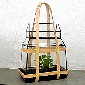 Mini greenhouses para sa mga cottage ng tag-init - maliit na portable polycarbonate greenhouses sa lugar